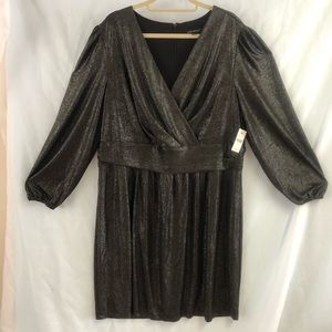 Lane Bryant Black Silver Shimmer Dress Women’s size 22